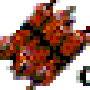 ch.gif